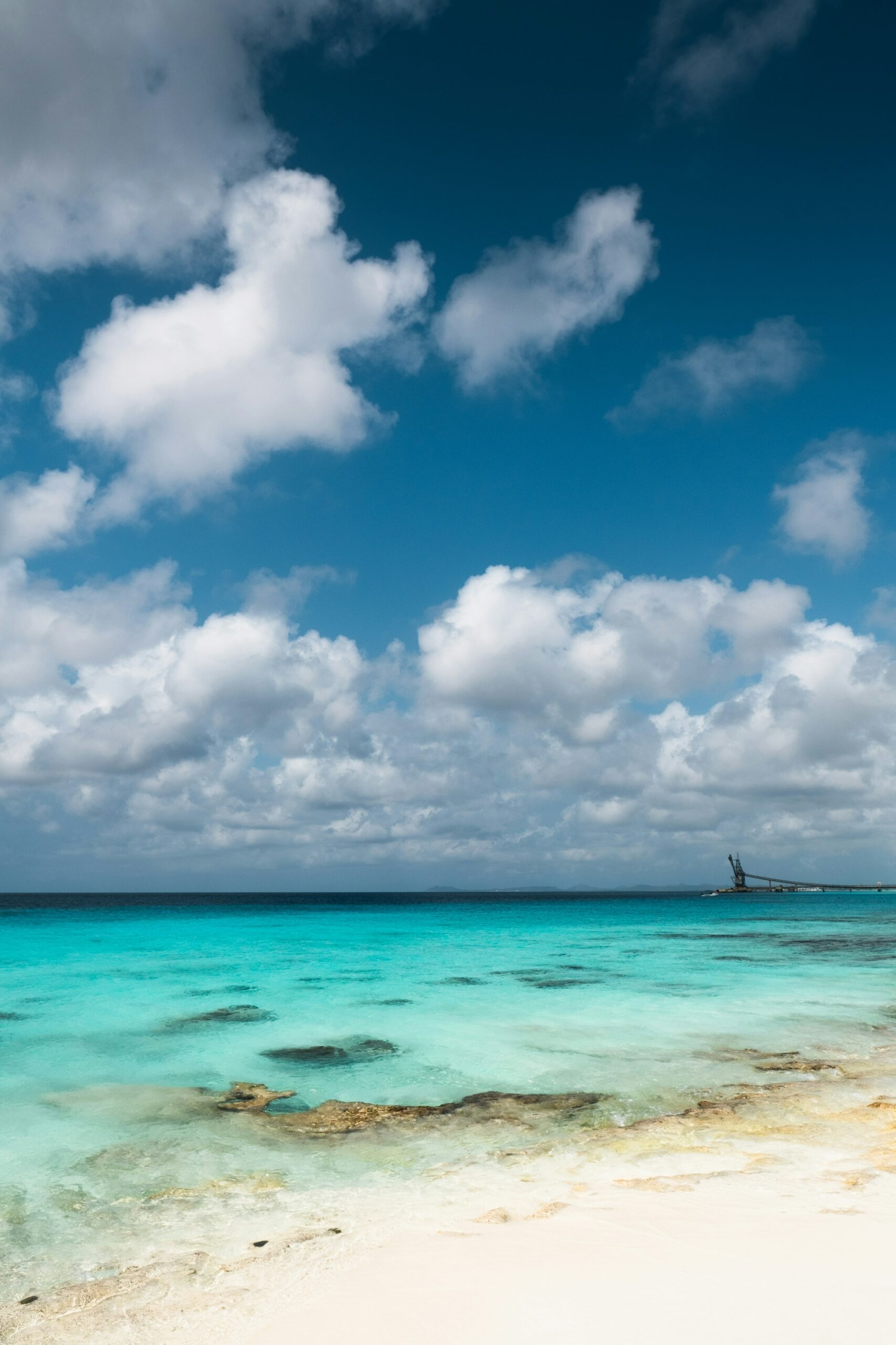 Navigate the Bonaire Investment Market Like a Pro